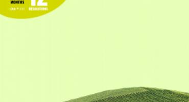 green vineyard